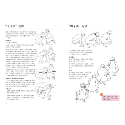 [M]骨盆功能运动与分娩-9787571426606