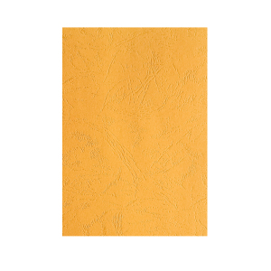 优彩嘉 彩色皮纹纸 A4 230g 金黄色 1510 包