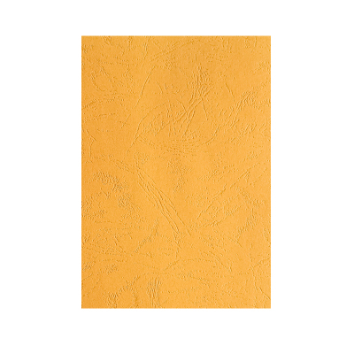 优彩嘉 彩色皮纹纸 A4 230g 金黄色 1510 包