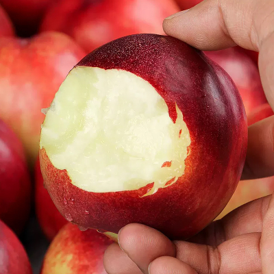 [苏鲜生]智利进口桃驳李 净重3斤 进口油桃 新鲜水果桃子 新鲜水果