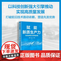 赋能新质生产力 科技创新赋能高质量发展 丁明磊 秦铮 石敏杰著 中信出版社图书 正版