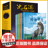 沈石溪动物小说全套4册 传奇狼王梦黑熊舞蹈家白象家族7-8-10-12-15岁儿童文学三四五六年级中小学生课外阅读书籍