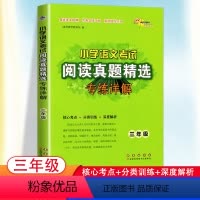 [正版]2023新版小学语文考试阅读真题精选专练详解三年级小学生3年级核心考点分类训练深度解析语文训练习题课外书常考文