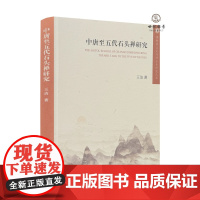 正版 中唐至五代石头禅研究 王洁著 宗教文化出版313页