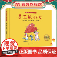 [正版书籍]真正的朋友 [德]赫姆·海恩 绘本大师经典“好朋友”系列作品 陈伯吹国际儿童文学奖得主程玮倾情翻译