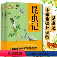 [正版]|昆虫记法布尔(全2册)美绘版法布尔昆虫记原著世界文学名著语文昆虫记初中生版昆虫记小学生四年级书籍