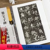 [正版]古代经典碑帖善本爨宝子碑爨龙颜碑 毛笔软笔楷书碑帖书法练字帖傅如明主编繁体旁注附原寸局部 浩瀚文化