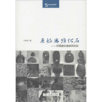 音像原始思维化石王炳华