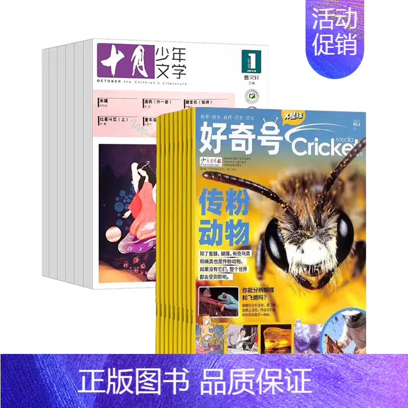 十月少年+好奇号 2024年1-12月 [正版]十月少年文学2024年刊订阅12期8-15岁儿童期刊杂志课外阅读曹文轩主