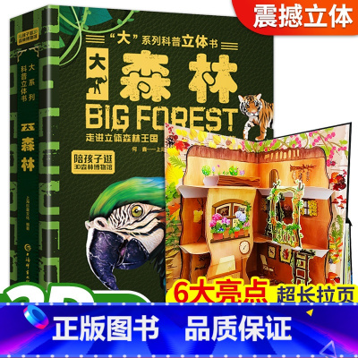 大森林3D立体书 [正版]巨童大森林科普3d立体书 3D立体博物馆 “大”系列科普的走进立体森林王国认知百科书宝宝科普百
