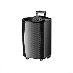 杜克恩DKE-YX-10 音箱(计价单位:个)黑色