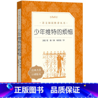 少年维特的烦恼 [正版] 少年维特的烦恼 歌德著 少年维特之烦恼 含原版原著书籍 中小学生课外书阅读经典语文阅读丛书 人