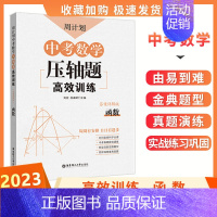 [中考-数学]压轴题-函数·人教版 初中通用 [正版]七年级数学周计划初中必刷题强化练习题含答案7八年级上下册初一数学基
