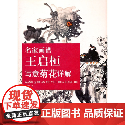 名家画谱——王启桓写意菊花祥解