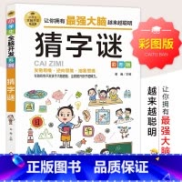 默认规格 [正版]猜字谜 彩图版 逻辑思维训练 专注力训练游戏书 智力训练 小学生全脑开发系列