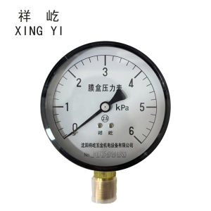 祥屹+膜盒压力表检测定制型+YE60+块