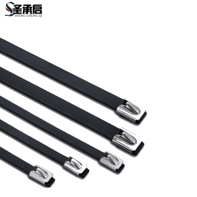 圣承启 不锈钢扎带 9*800根