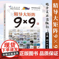 精导大矩阵9×9 付强 湘江北去团队 飞航导弹实战备忘录弹道知识九连问水下制导武器能见度 电子工业出版社