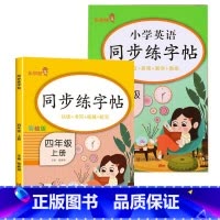 四年级上册[语文+英语] [正版]小学生练字帖每日一练一年级上册二年级下册三四五六年级语文同步练字帖人教版 控笔训练硬笔