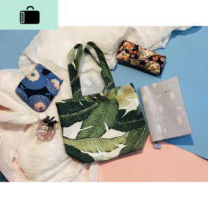 拾艺好物新款推荐韩版简约时尚迷你小托特帆布随身手拎女士包袋NEW LAKE女手包