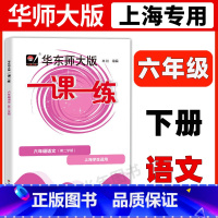 6年级下 语文 六年级 [正版]华东师大版一课一练六年级上下册语文数学英语普通版增强版6年级上海沪教版初中教辅同步练习册