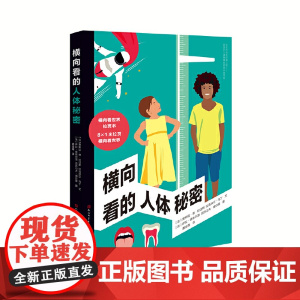 横向看的人体秘密