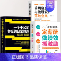 [正版]3册 一个小公司老板的日常管理+公司制度与流程设计落地全案+老板就要定薪酬做绩效抓激励书籍 创业经营百科团队薪酬