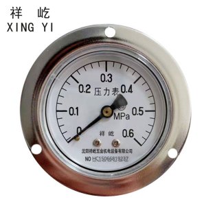 祥屹+轴向带边压力表检测定制型+Y60ZT+块