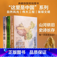 这里是中国1+2+3全套 [正版]这里是中国1+2+3全套 共3册 星球研究所 百年重塑山河建设改变中国华夏文明史诗 国