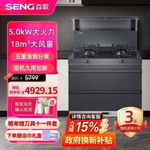 森歌(SENG)集成灶L1 消毒柜款 二星级消毒外观美 大容量 一体式吸烟机燃气灶具 抽油烟机燃气灶灰色液化气