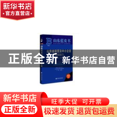 正版 山东省民营及中小企业发展报告:2020-2021:2020-2021 孙国茂