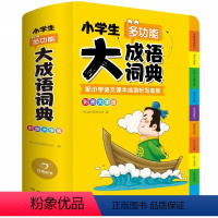 小学生多功能大成语词典 小学通用 [正版]小学生多功能大成语词典大开本小学通用配听写音频群书单词英汉词典现代汉语四字万条