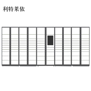 利特莱依智能快递柜小区快递自提柜派件柜室外寄存柜信报箱储物柜一主四副105格