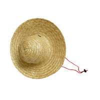 泽奋 草帽 50cm 个