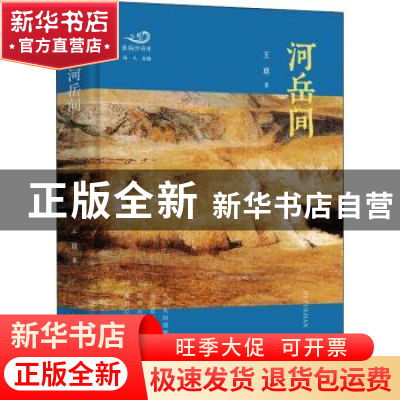 正版 河岳间(精)/浪淘沙诗库 王琪 中国书籍出版社 9787506884662