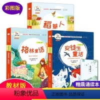 [全套3册 送导练] 快乐读书吧三年级上册 [正版]快乐读书吧安徒生童话三年级上册 全套3册 稻草人书 格林童话 经典书