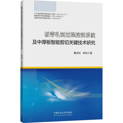 板带轧制过程控制系统及中厚板智能剪切关键技术研究