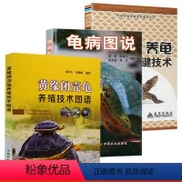 [正版]养龟书籍3册 龟病图说黄缘闭壳龟养殖技术图谱高效养龟乌龟甲鱼水产龟鳖高效养殖技术书龟病防治龟类图鉴养好龟蛋龟金