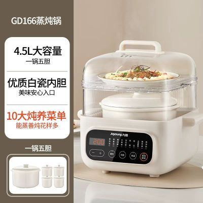 九阳DG25G-GD166电炖盅隔水炖蒸煮炖一体家用多功能炖锅