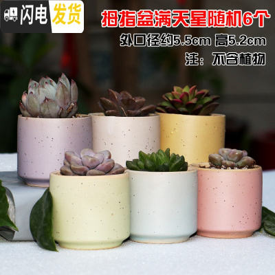 三维工匠4个9.9元陶瓷花盆多肉粗陶素烧透气个性自彩陶瓷花盆大小盆栽 灰色拇指盆满天星6个 小花盆容器