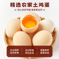 雀淘 AA级皖南新鲜土鸡蛋20枚正宗农家橙心鸡蛋营养早餐