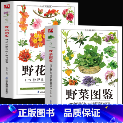 [正版]全2册野菜图鉴+野花图鉴常见花卉园林植物识别图鉴野外野菜识别速查图鉴植物特性药学图鉴植物花草识别图解食疗书籍