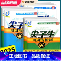 数学 [浙教版] 九年级/初中三年级 [正版]尖子生周周清检测七年级八年级九年级上册下册数学科学浙教版中学同步练习册初一