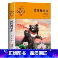黑熊舞蹈家 [正版]沈石溪动物小说品藏书系列全集36册 斑羚飞渡第七条猎狗后一头战象雪豹悲歌珍藏版全套画本生肖
