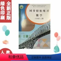 八上数学同步轻松练习 [正版]含卷子答案 人教版八8年级上册数学同步轻松练习 数学八8年级上册配套练习册人民教育出版社人