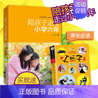 [正版] 陪孩子走过小学六年 爱在自由里 怎样教育培养6-9-12岁男孩女孩子 一二三四五六年级儿童心理学家庭教育儿百科