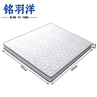 铭羽洋椰棕床垫1000*2000*50mm张