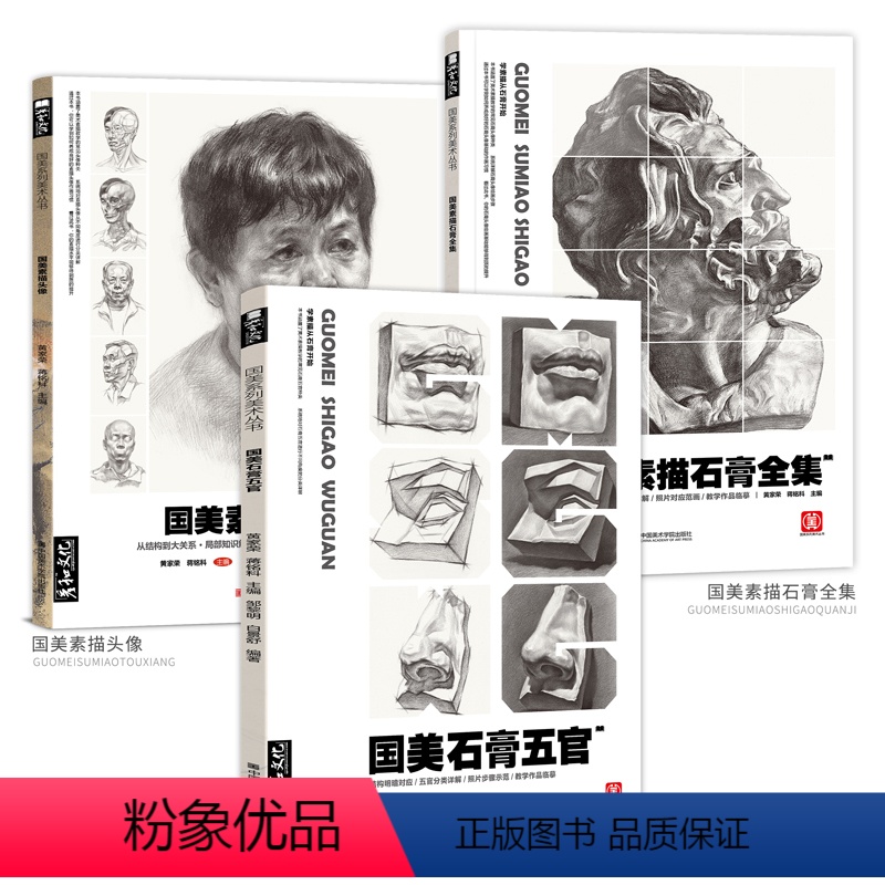 国美素描三件套 [正版]国美素描头像人物石膏五官头像临摹书全集教程范本照片联考高考校考专升本美术生对临面部结构绘画画教学
