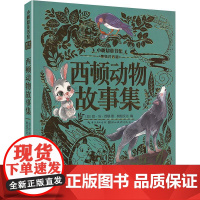 西顿动物故事集 美绘注音版 湖北美术出版社 (加)欧·汤·西顿 著 树知文化 译 古典启蒙 绘本/图画书/少儿动漫书