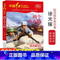 [正版]中国红青少年革命文化教育读本 两个小八路 红色经典阅读丛书关于儿童爱国的故事书 课外书阅读三四五六年级读物